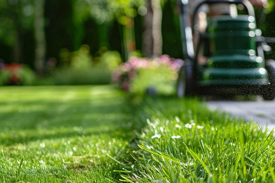 where to buy a lawn mower